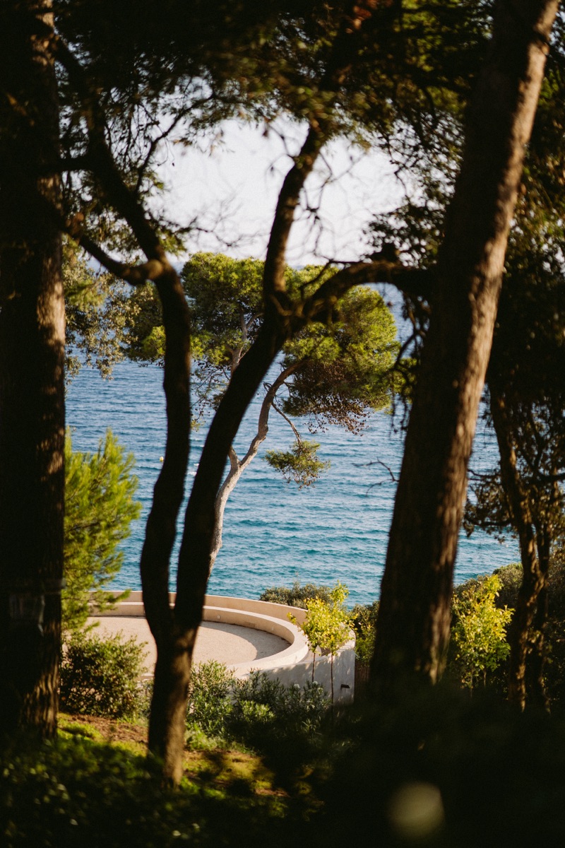 Vista del mar entre árboles